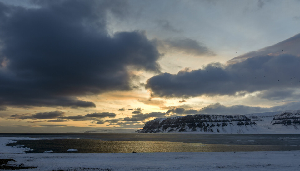 Tempelfjorden in Svalbard. Arctic research and the active role of AMAP were important contributions to the international agreement on mercury. The Minamata Convention on Mercury aims to protect human health and the environment from human-made releases of mercury. Health effects from long-range transported mercury is evident in Arctic wildlife. (Photo: Torunn Slettemark Hovden)