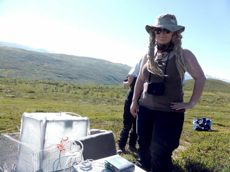 Mia Vedel Sørensen in the field. (Photo: Diana Eckert)
