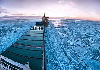 Trans-Arctic shipping and the tragedy of the polar ice cap
