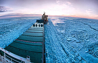 Trans-Arctic shipping and the tragedy of the polar ice cap