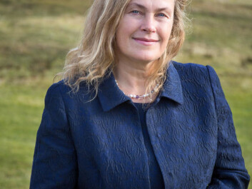 Professor Cecilie Svanes is leading a project in EU-project ALEC. (Photo: Eivind Senneset / UiB) Professor Cecilie Svanes is leading a project in EU-project ALEC. (Photo: Eivind Senneset / UiB)