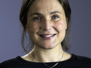 Norwegian legislation in the Arctic: In her PhD project, Erichsen can draw on her experience from the shipping industry. In addition, the research project matches her commitment to environmental protection. (Photo: André Kvalvågnes / Dragefjellet lærings- og formidlingssenter/UiB) Norwegian legislation in the Arctic: In her PhD project, Erichsen can draw on her experience from the shipping industry. In addition, the research project matches her commitment to environmental protection. (Photo: André Kvalvågnes / Dragefjellet lærings- og formidlingssenter/UiB)