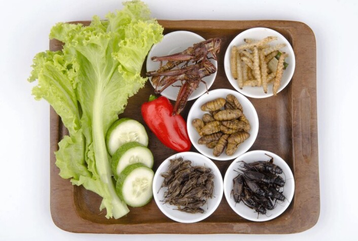 (Illustrasjonsfoto: Shutterstock) (Illustrasjonsfoto: Shutterstock)