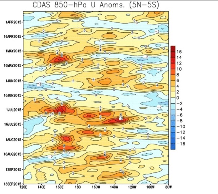 Fortsatt litt vestlig vind-anomali i Stillehavet, men når kommer det neste store vestavindsutbruddet (rødt)? Vil denne El Ninjoen gå tom i høst, eller styrke seg? (Bilde: NOAA) Fortsatt litt vestlig vind-anomali i Stillehavet, men når kommer det neste store vestavindsutbruddet (rødt)? Vil denne El Ninjoen gå tom i høst, eller styrke seg? (Bilde: NOAA)
