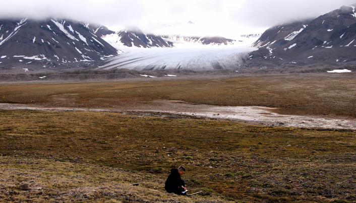 Warmer winters in Svalbard are not good for plants