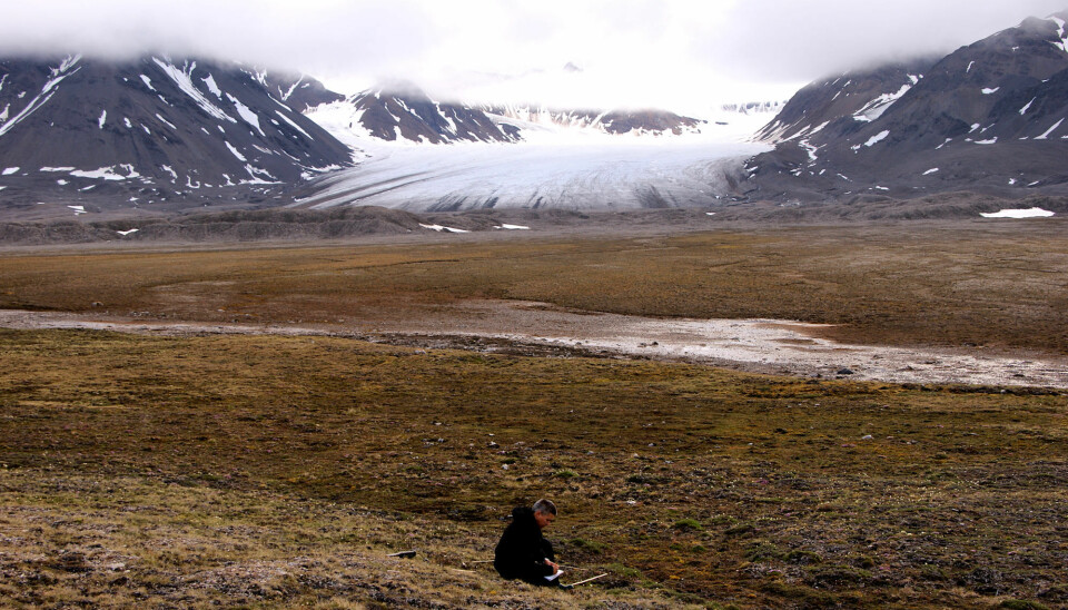 'Warmer winters on Svalbard are not tantamount to a greener landscape', says researcher by Jarle W. Bjerke. The image shows Bjerke doing fieldwork on Svalbard. (Photo: Trond Pedersen)
