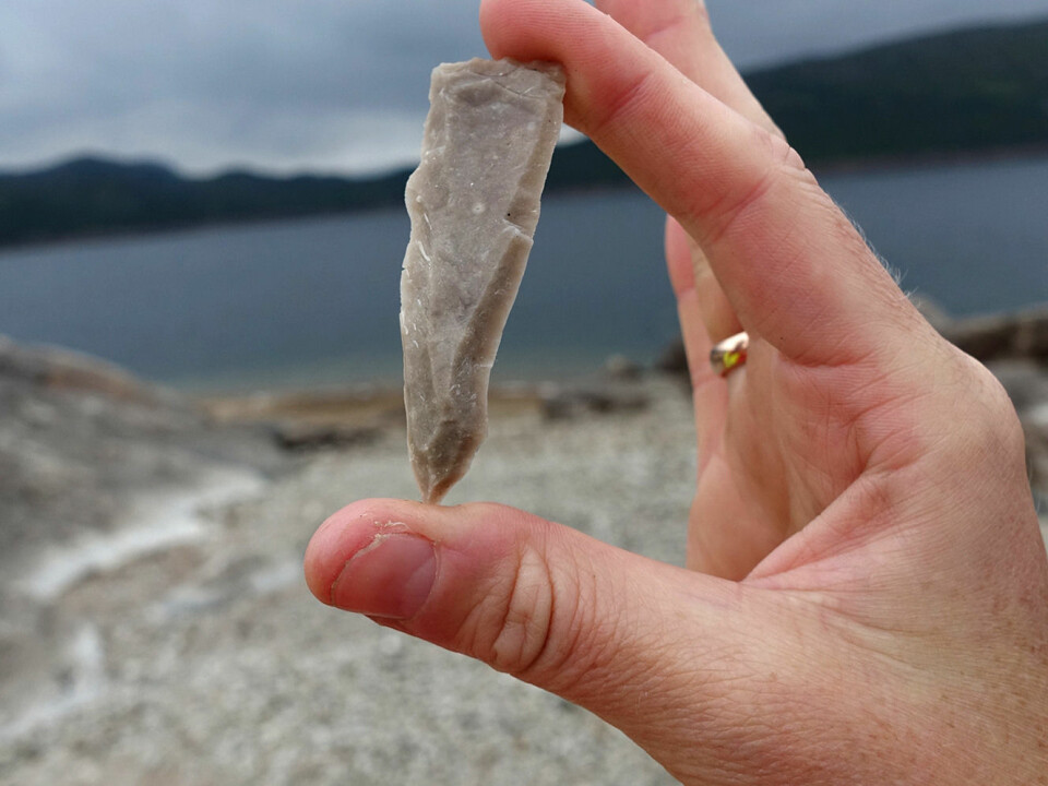 A flint blade, principally for making tools such as a knife, an arrow head or something similar in the Stone Age, is just one of the finds at Store Myrvatn.