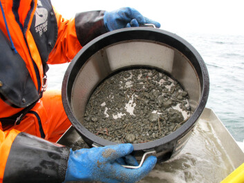 Recently published NIVA research shows that in Skagerrak, the status of soft bottom communities improved between 1990 and 2010. During the 20-year period, tube-building annelids increased at all stations. (All photos: NIVA) Recently published NIVA research shows that in Skagerrak, the status of soft bottom communities improved between 1990 and 2010. During the 20-year period, tube-building annelids increased at all stations. (All photos: NIVA)