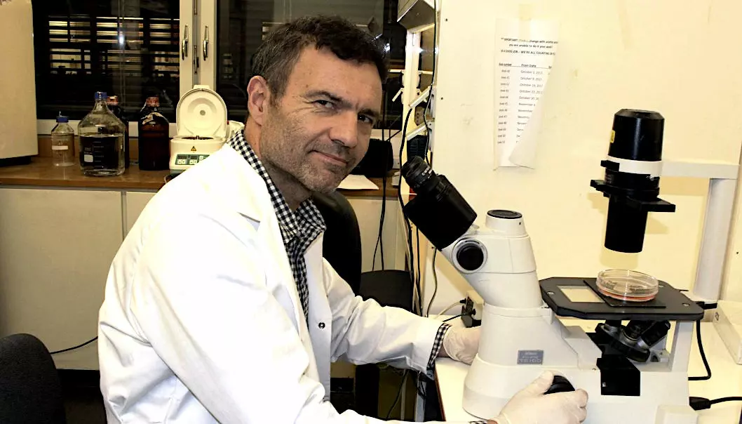 Professor Fahri Saatcioglu is already planning clinical trials on humans. (Photo: Bjarne Røsjø)