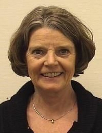 Bodil Kleve. (Foto: Høgskolen i Oslo og Akershus) Bodil Kleve. (Foto: Høgskolen i Oslo og Akershus)