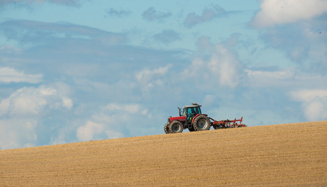 Norske bønder må bli meir produktive i framtida, men dei må også bli færre, spår økonomar ved NIBIO. (Foto: E. Fløistad, NIBIO) Norske bønder må bli meir produktive i framtida, men dei må også bli færre, spår økonomar ved NIBIO. (Foto: E. Fløistad, NIBIO)