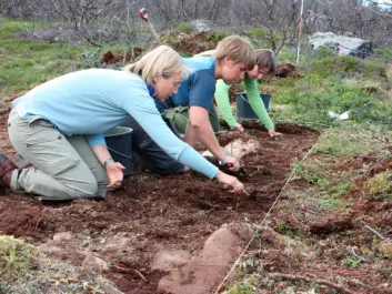 Students digging into the past of Northern Norway. (Photo: Jan Ingolf Kleppe)