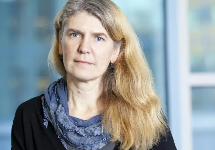 Lena Wängnerud, professor ved Göteborgs Universitet  (Foto: Göteborgs Universitet)