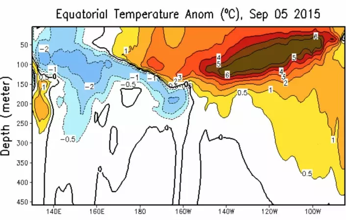 Det nyeste plottet fra NOAA om varmefordelingen (avvik fra normalen) rett under overflaten ved ekvatorbeltet i Stillehavet. (Bilde: NOAA)