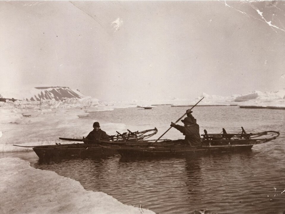 Fridtjof Nansen and Fredrik Hjalmar Johansen paddle in the ice. The picture was taken in July 1896 in Franz Josef Land, Russia. (Photo: National Library)