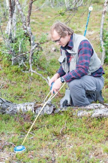 Landsskogtakseringen skal også registrere liggende og stående døde trær på skogflatene. Erik Sørensen registrerer lengden og diameteren på en såkalt læger, det vil si et liggende dødt tre. (Foto: Lars Sandved Dalen, Nibio) Landsskogtakseringen skal også registrere liggende og stående døde trær på skogflatene. Erik Sørensen registrerer lengden og diameteren på en såkalt læger, det vil si et liggende dødt tre. (Foto: Lars Sandved Dalen, Nibio)