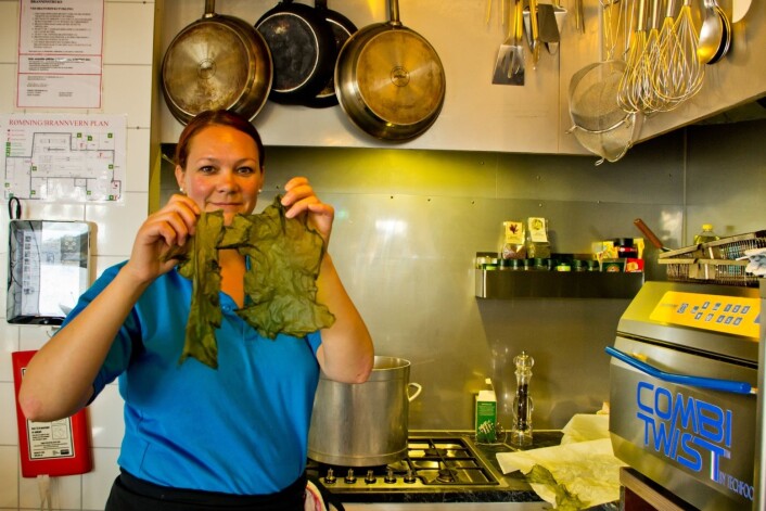 – Det er slike tareflak gourmetkokkane vil ha, fortel Gunhill Sæle-Bjørkhaug på Havsalaten kafe. (Foto: Marit Bendz) – Det er slike tareflak gourmetkokkane vil ha, fortel Gunhill Sæle-Bjørkhaug på Havsalaten kafe. (Foto: Marit Bendz)