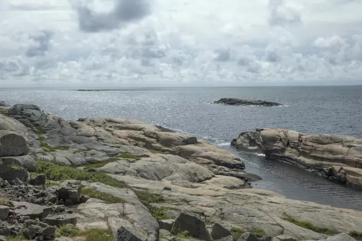 Nasjonalparker og verneområder som Færder nasjonalpark kan være viktige fristeder for å øke marine bestander. (Foto: Terje Bendiksby, NTB scanpix)