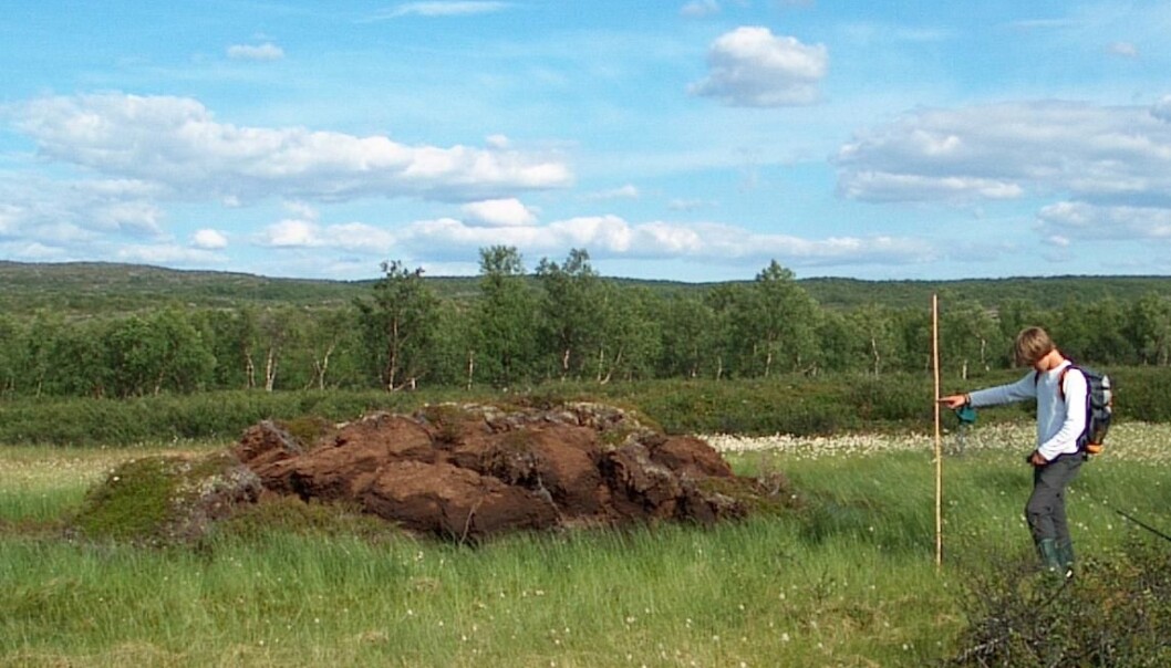 A palsa is essentially a turf-covered mound, with a core of ice that rises above the surrounding bog or water surface. (Phot: UiT) A palsa is essentially a turf-covered mound, with a core of ice that rises above the surrounding bog or water surface. (Phot: UiT)