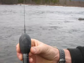 This little "computer" is attached to the salmon's back and enables scientists to track it by satellite. (Photo: Salmotrack)
