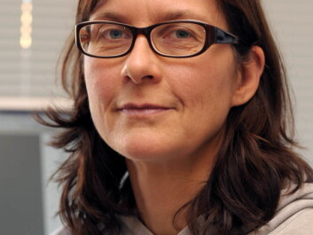 According to Frost Andersen it may be of crucial importance that we introduce more vegetables in children's diets while they are young. (Photo: Gunnar F. Lothe, UiO) According to Frost Andersen it may be of crucial importance that we introduce more vegetables in children's diets while they are young. (Photo: Gunnar F. Lothe, UiO)