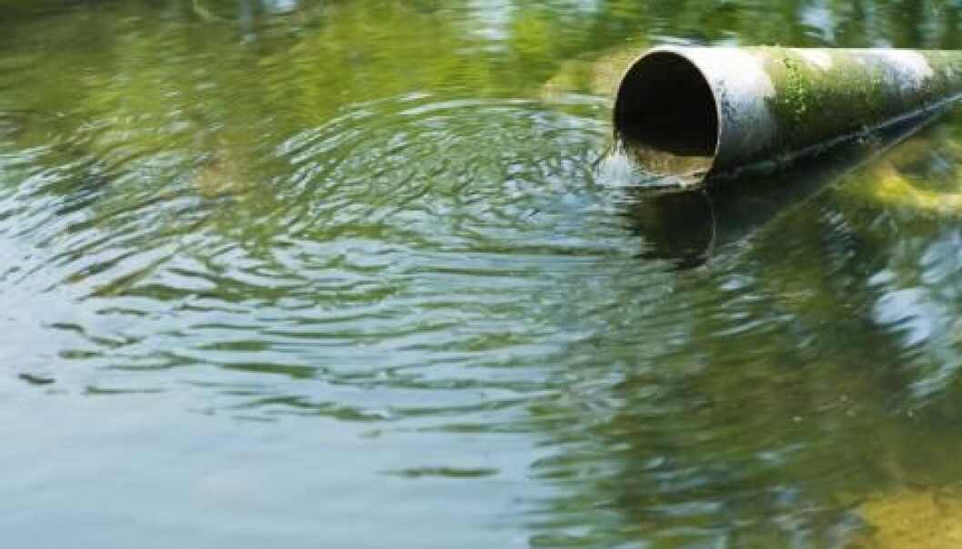 Some effluents eventually find their way into ocean waters. (Photo: Colourbox) Some effluents eventually find their way into ocean waters. (Photo: Colourbox)