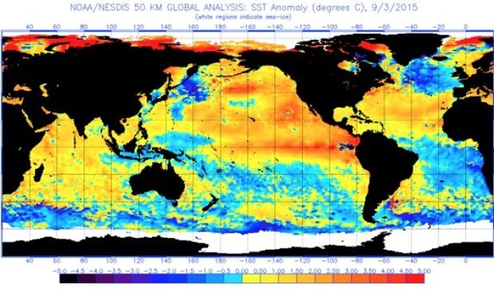 Satellittmålt temperaturavvik i havoverflaten 3. september. (Bilde: NOAA) Satellittmålt temperaturavvik i havoverflaten 3. september. (Bilde: NOAA)