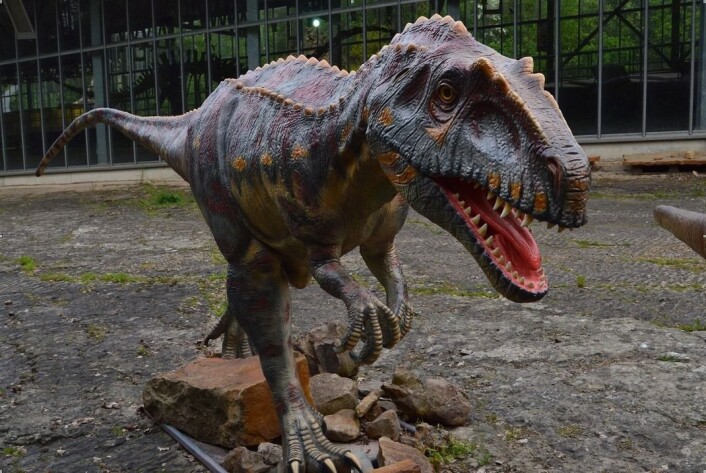 Det er antagelig en dinosaur av typen Megalosauripus som har satt sporene på stranden. (Foto: Pernille Venø Troelsen) Det er antagelig en dinosaur av typen Megalosauripus som har satt sporene på stranden. (Foto: Pernille Venø Troelsen)