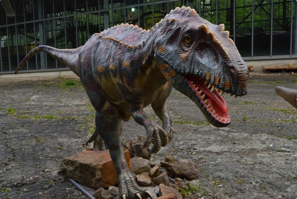 Det er antagelig en dinosaur av typen Megalosauripus som har satt sporene på stranden. (Foto: Pernille Venø Troelsen)