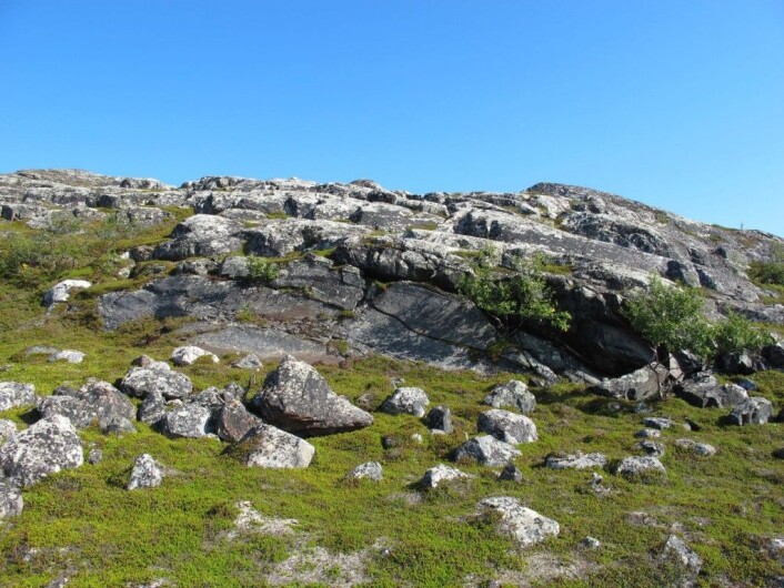 Helleristningene ligger på den flate bergveggen, som måler ca 15 meter i bredde og inntil 3 m i høyde. (Foto: (Foto Anja Roth Niemi)) Helleristningene ligger på den flate bergveggen, som måler ca 15 meter i bredde og inntil 3 m i høyde. (Foto: (Foto Anja Roth Niemi))