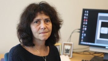 Professor Mila Vulchanova ved NTNU forskar på språkopplæring. (Foto: Unni Eikeseth, NRK) Professor Mila Vulchanova ved NTNU forskar på språkopplæring. (Foto: Unni Eikeseth, NRK)