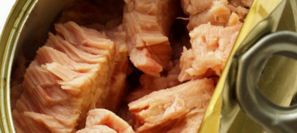 Den danske toksikologen Lisbeth Knudsen mener tunfiskbokser bør merkes med en advarsel for gravide. (Foto: Colourbox)