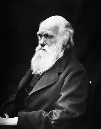 Charles Darwin, fotografert 60 år gammel i 1869. (Foto: J. Cameron, Wikimedia Commons)