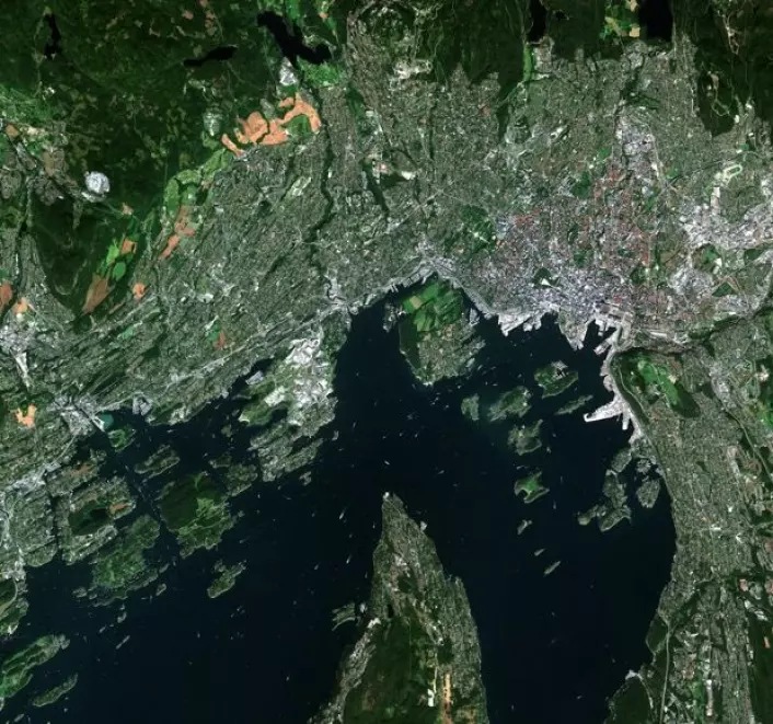 Oslo sett fra satellitten Sentinel-2A. (Bilde: Copernicus Sentinel data 2015)