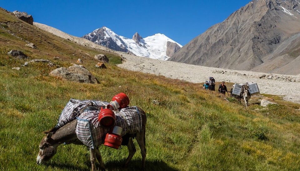 Elvene fra Tien Shan-massivet forsyner vann til folk, dyr og natur på de store sletteområdene i Usbekistan, Kasakhstan, Kirgisistan og Xinjiang-provinsen i Kina. (Foto: Thorben Dunse)