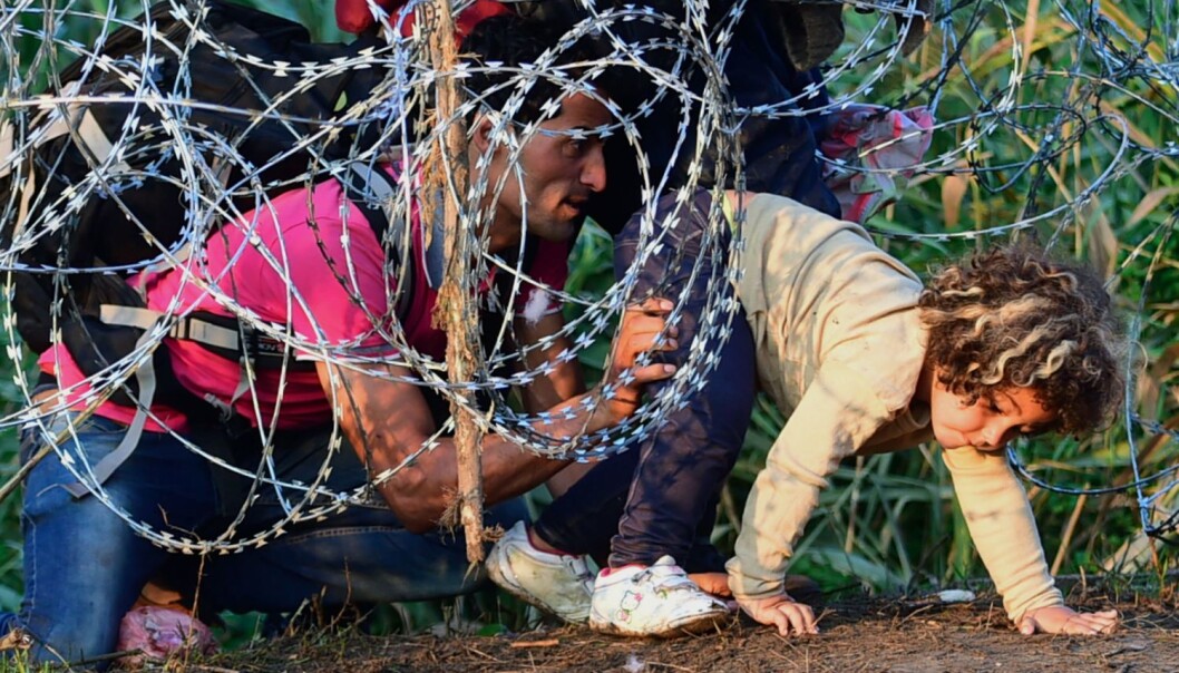 En ung syrisk jente blir hjulpet av faren sin gjennom piggtrådgjerdet Ungarn nå setter opp for å forsøke å stanse strømmen av flyktninger inn i landet. (Foto: Attila Kisbenedek / AFP-NTB) En ung syrisk jente blir hjulpet av faren sin gjennom piggtrådgjerdet Ungarn nå setter opp for å forsøke å stanse strømmen av flyktninger inn i landet. (Foto: Attila Kisbenedek / AFP-NTB)