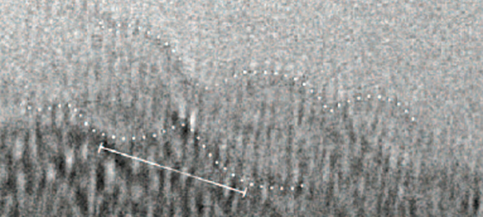 Formen på dobbeltspiralen DNA er markert med stiplede hvite linjer i dette bildet, tatt med elektronmikroskop. Den heltrukne linjen viser avstanden mellom to omdreininger av spiralen, 26,5 ångstrøm eller 2,6 milliondels millimeter. (Foto: Enzo Di Fabrizio m.fl./Science Advances, Creative Commons Attribution NonCommercial License 4.0)