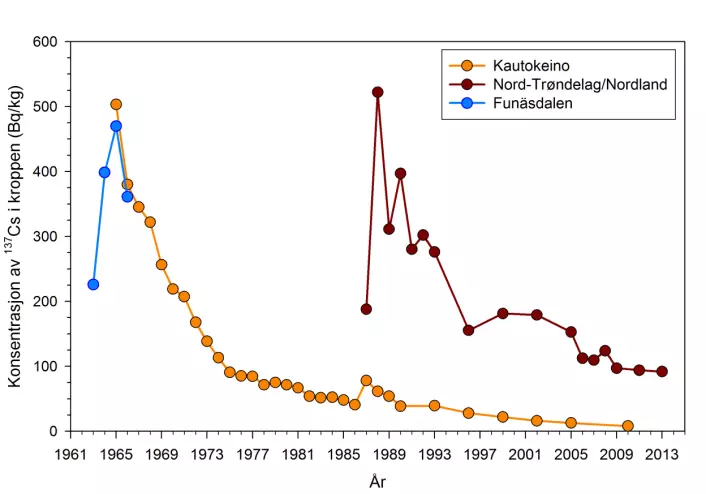 Utviklingen av cesium-137 i reindriftssamer i perioden 1963–2013. Data fra svenske reindriftssamer i perioden 1963-1966 er med for å vise cesium-økningen etter prøvestansavtalen. Undersøkelsene av reindriftssamer i Midt-Norge fortsetter.  (Foto: (Figur: Statens strålevern))
