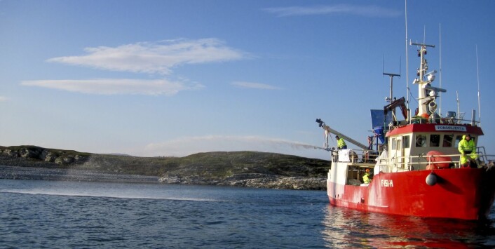 Ved å sprøyte kalk fra båt har forskere klart å knekke kråkebollene og gjenskapt en frodig tareskog i Porsangerfjorden. (Foto: Hans Kristian Strand, Havforskningsinstituttet, NTB scanpix) Ved å sprøyte kalk fra båt har forskere klart å knekke kråkebollene og gjenskapt en frodig tareskog i Porsangerfjorden. (Foto: Hans Kristian Strand, Havforskningsinstituttet, NTB scanpix)