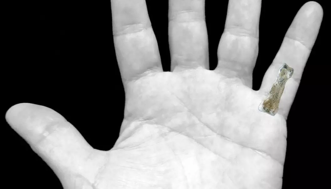 Dette kan være verdens hittil eldste finger fra et fortidsmenneske