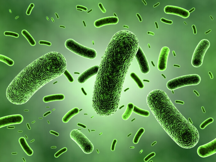 Noen bakterier kan overleve på en diett av plantevernmidler og antibiotika. Nå har forskere funnet ut hvordan. (Illustrasjonsfoto: Microstock) Noen bakterier kan overleve på en diett av plantevernmidler og antibiotika. Nå har forskere funnet ut hvordan. (Illustrasjonsfoto: Microstock)