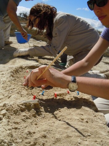 Arkeologene graver i Olduvai-dalen i Tanzania, der fingerbiten ble funnet. Feltet ble oppdaget i 2012. (Foto: Manuel Domínguez-Rodrigo) Arkeologene graver i Olduvai-dalen i Tanzania, der fingerbiten ble funnet. Feltet ble oppdaget i 2012. (Foto: Manuel Domínguez-Rodrigo)