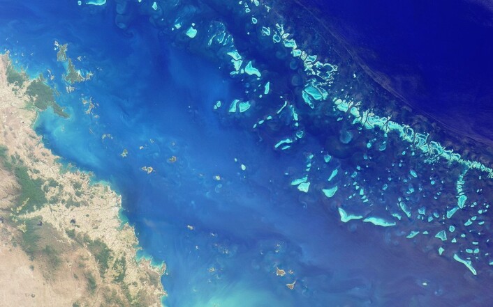 Verdas største korallrev, Great Barrier Reef, er berre eitt av mange korallrev som er trua av global oppvarming og havforsuring. (Foto: NASA) Verdas største korallrev, Great Barrier Reef, er berre eitt av mange korallrev som er trua av global oppvarming og havforsuring. (Foto: NASA)