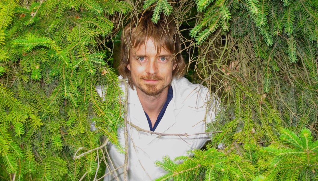 Lasse Fredriksen leter etter nye enzymer som kan bryte ned komplekse karbohydrater på en raskere og mer effektiv måte enn enzymer som er karakterisert så langt. (Foto: Kai Tilley) Lasse Fredriksen leter etter nye enzymer som kan bryte ned komplekse karbohydrater på en raskere og mer effektiv måte enn enzymer som er karakterisert så langt. (Foto: Kai Tilley)