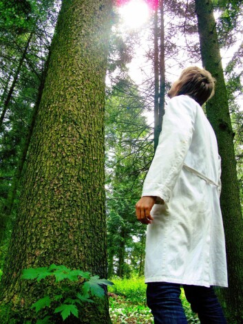 «Hemicellulose», som finnes sammen med cellulose i planter og trær, burde hete «semicellulose», mener Fredrisen. (Foto: Kai Tilley) «Hemicellulose», som finnes sammen med cellulose i planter og trær, burde hete «semicellulose», mener Fredrisen. (Foto: Kai Tilley)