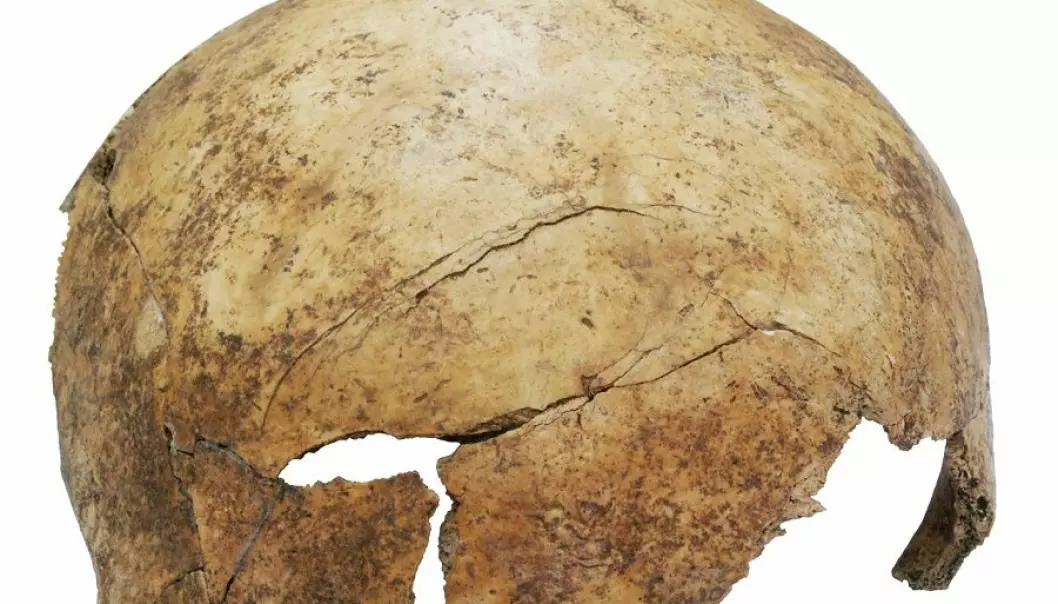Rester etter steinalder-massakre funnet i Tyskland