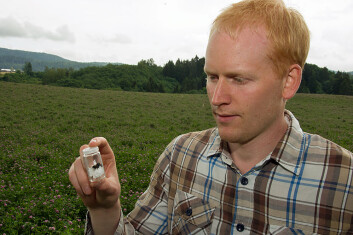 Sondre Dahle har fanget en av jordhumlene som er satt ut og fått den på glass for å sjekke den. (Foto: Georg Mathisen) Sondre Dahle har fanget en av jordhumlene som er satt ut og fått den på glass for å sjekke den. (Foto: Georg Mathisen)