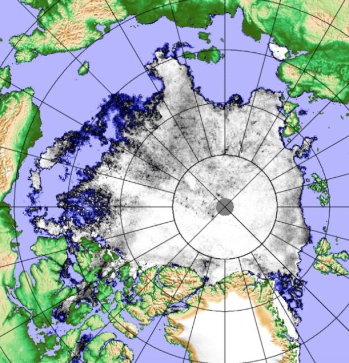 Sjøisen i Arktis 14 august, basert på data fra den japanske klimaovervåkningssatellitten. (Bilde: PolarView/Univ i Bremen) Sjøisen i Arktis 14 august, basert på data fra den japanske klimaovervåkningssatellitten. (Bilde: PolarView/Univ i Bremen)