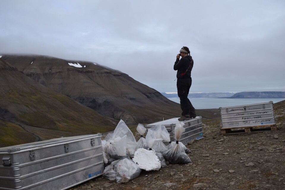 Aubrey speider etter isbjørn. Hvert tiende minutt går vi en runde for å speide. Vi sjekker da også om de fastboende (reinsdyrene) i dalen har flyttet på seg. (Foto: Victoria Engelschøn Nash)