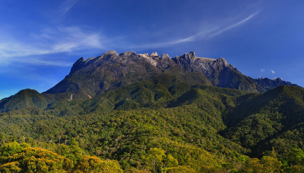 Mount Kinabalu ligger i den malaysiske delen av øya Borneo. Fjellet er på UNESCOs verdensarvliste på grunn av sitt særegne livsmangfold. (Foto: John Kong / Sabah Parks) Mount Kinabalu ligger i den malaysiske delen av øya Borneo. Fjellet er på UNESCOs verdensarvliste på grunn av sitt særegne livsmangfold. (Foto: John Kong / Sabah Parks)